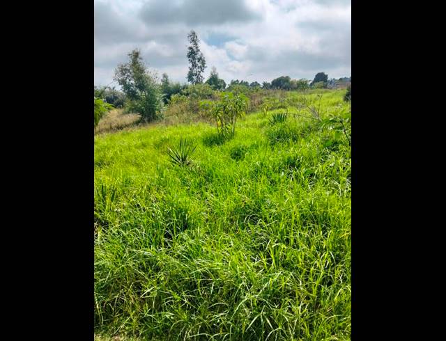 LAND FOR SALE IN ROODEKRANS